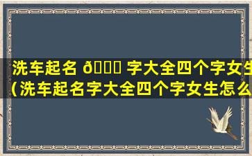 洗车起名 🐛 字大全四个字女生（洗车起名字大全四个字女生怎么起）